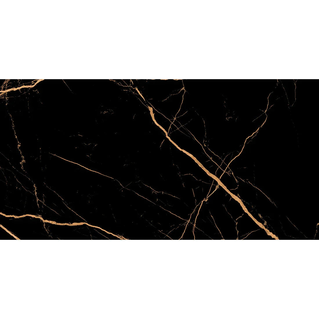 Atlantis Black | 60x120 Midnight Gold Radiant Polished