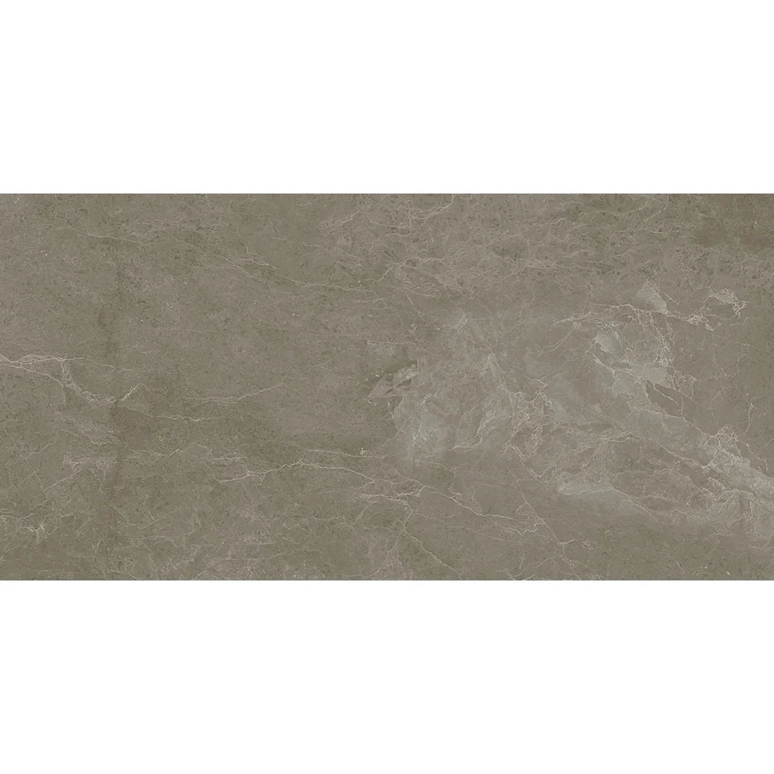 Linsey Forest | 60x120 Deep Botanical Matt