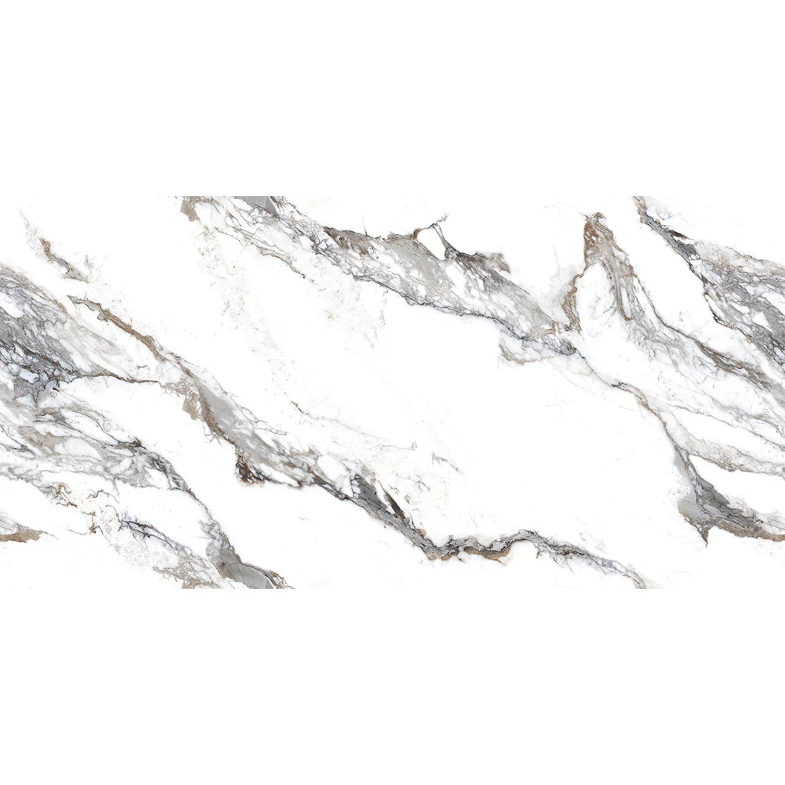 Calacatta Borghini | 60x120 Luminous Grey Polished