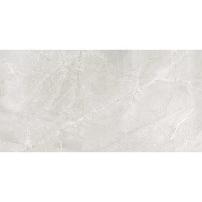 Dazzle Elegant Armani | 60x120 Sterling Silver Sugar Shimmer