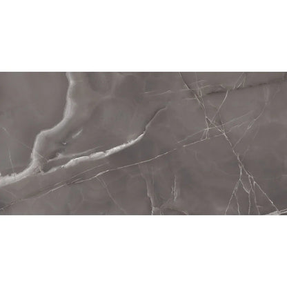 Onyx Prime | 60x120 Silver Gris Polished